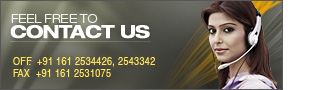 Contact Information